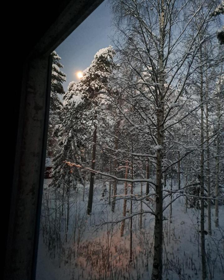 Room In Polar Circle Rovaniemi Dış mekan fotoğraf